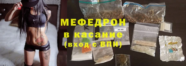 прущие грибы Абинск