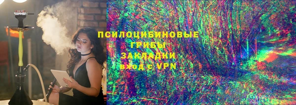 прущие грибы Абинск