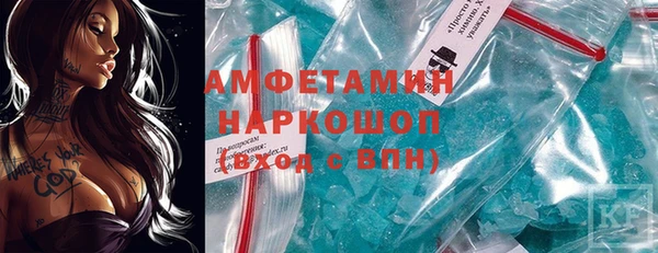 прущие грибы Абинск