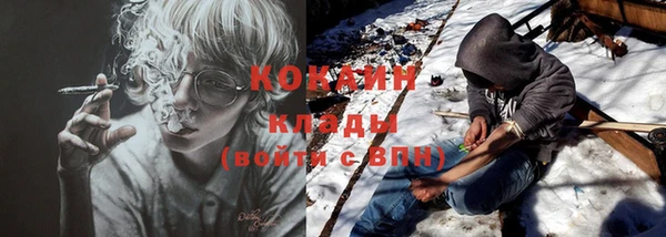 прущие грибы Абинск