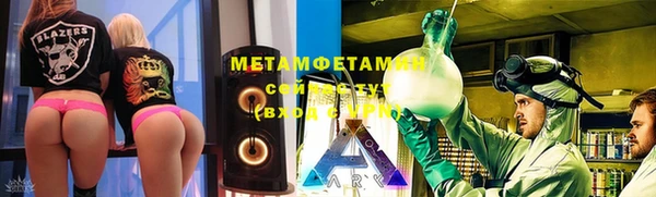 прущие грибы Абинск