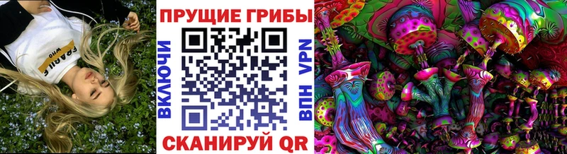 Галлюциногенные грибы прущие грибы  дарк нет состав  Энем  где купить наркоту  mega  