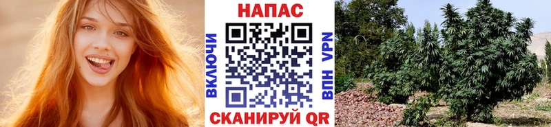 Бошки марихуана VHQ Энем